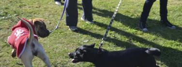 CommunityCup2011_011