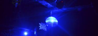 WinterBall2011_015