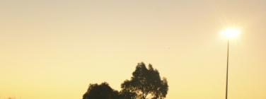 RockdogsTraining110612_010