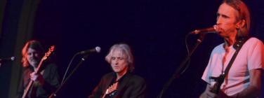 DogTrumpetCaravan170813_014