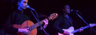 Orbweavers-Toff-14-11-13