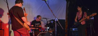 TasmanianFiresBenefit280113_007