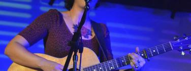 TasmanianFiresBenefit280113_087