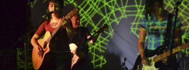 TasmanianFiresBenefit280113_093