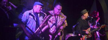 HullabalooCaravan150314_023