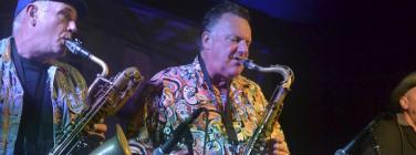 HullabalooCaravan150314_028