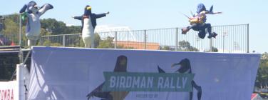 MoombaBirdmanRally2014_004