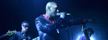 BombayRoyaleHowler231215_041