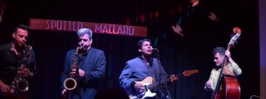 RebellesSpottedMallard131115_007