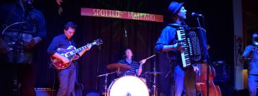 BandWhoKnewTooMuchSM131116_033