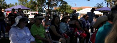 Audience at Warrawee Park 18/3/17