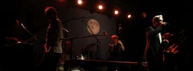 Don Walker and the Suave Fucks at the Caravan Music Club 16/02/2019