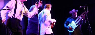 Don Walker and the Suave Fucks at the Caravan Music Club 16/02/2019