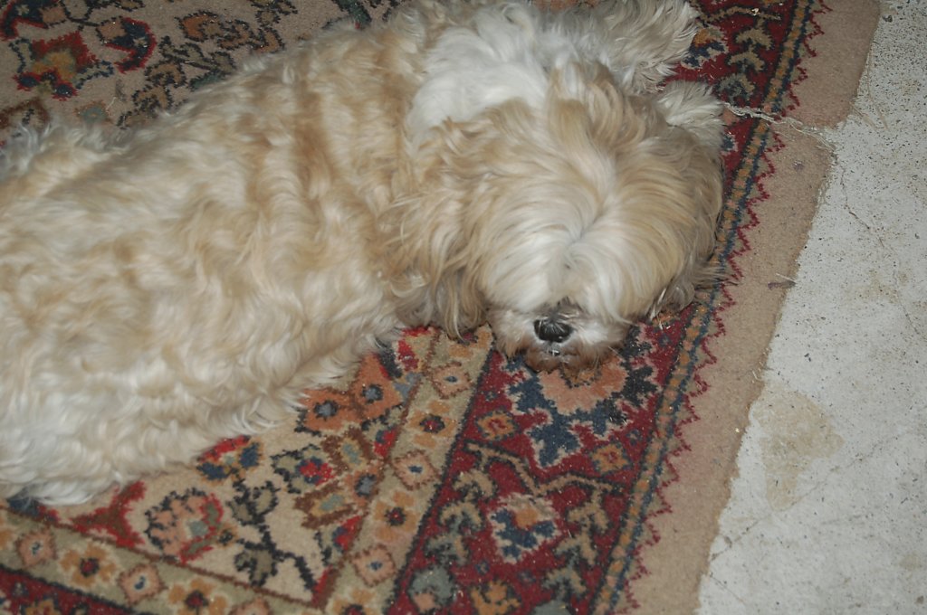 photo14.jpg