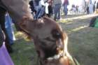 photo301_small.jpg