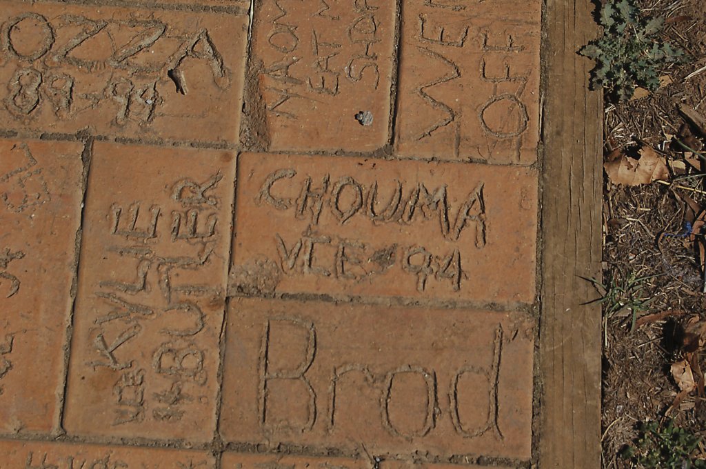 photo22.jpg
