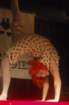 photo50_small.jpg