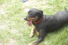 photo24_small.jpg