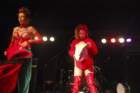 photo231_small.jpg