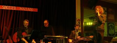 Dan and band at the Spotted Mallard 10/11/19