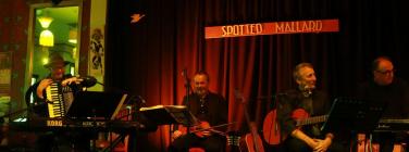 Dan and band at the Spotted Mallard 10/11/19