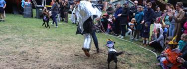 Grand Dog Parade at the Village Festival 2019
