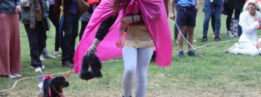 Grand Dog Parade at the Village Festival 2019