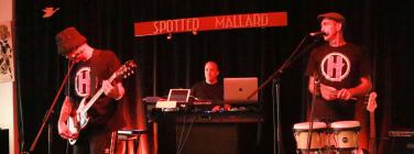 The Haploids at the Spotted Mallard 21/02/20