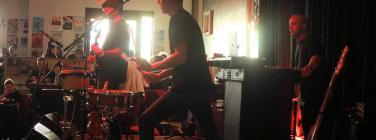 The Haploids at the Spotted Mallard 21/02/20