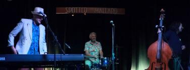 All Day Fritz at the Spotted Mallard 21/02/20