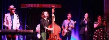 All Day Fritz at the Spotted Mallard 21/02/20