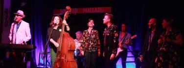 All Day Fritz at the Spotted Mallard 21/02/20