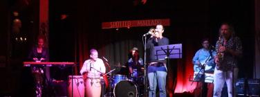 Los Cojones at the Spotted Mallard 21/02/20
