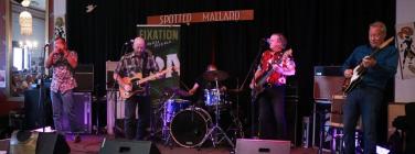 The Pheasantry at the Spotted Mallard 25/01/2020