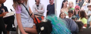Dog parade at the Yarraville Festival 2020