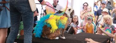 Dog parade at the Yarraville Festival 2020