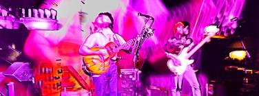 Pollyman at the Brunswick Ballroom 02/05/21