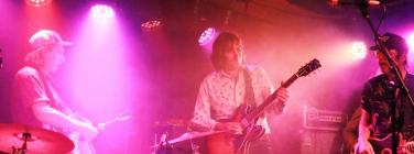 Wagons at Hotel Westwood 31/10/22