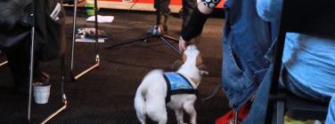 Old mate at Emerald Hill Libary 02/12/25
