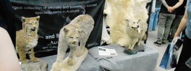 Oddities & Curiosities Expo Melbourne 2025