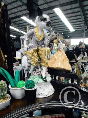 Oddities & Curiosities Expo Melbourne 2025