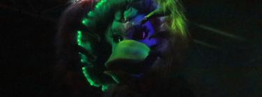 Phantom Panda Power Wizard Master Smasher at Bergy Bandroom 11/07/26